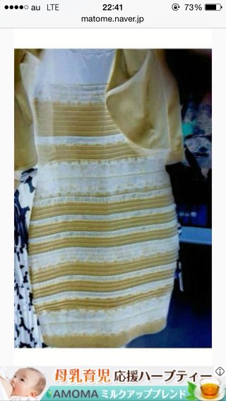 何色? 1枚の写真でネット激論