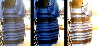 何色? 1枚の写真でネット激論