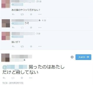 Twitterで子猫を虐待して殺したと少女が画像公開で炎上→警察が捜査へ