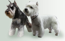 《とくﾀﾞﾈ》総合ﾄﾋﾟ