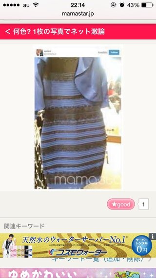 何色? 1枚の写真でネット激論