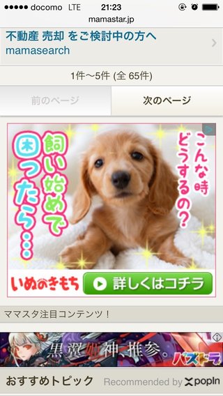 道路でじゃれる犬を見て「蹴りたくなる」犬アレルギー主婦も