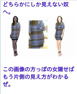 何色? 1枚の写真でネット激論