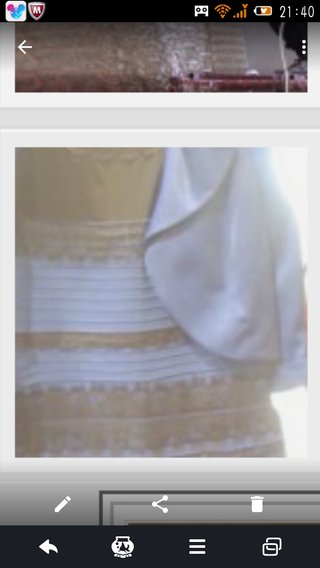 何色? 1枚の写真でネット激論