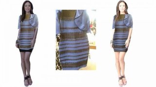 何色? 1枚の写真でネット激論