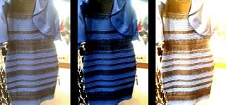 何色? 1枚の写真でネット激論