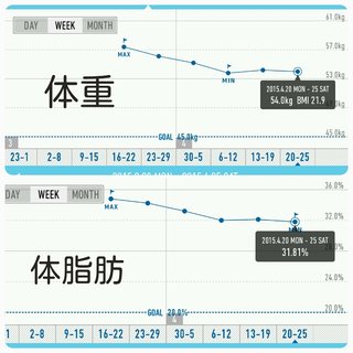 3/23start  157㎝57.0kg34.8%→目標47kg20%  
