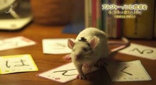 ラッスンゴレライは原爆の｢落寸号令雷｣を意味？