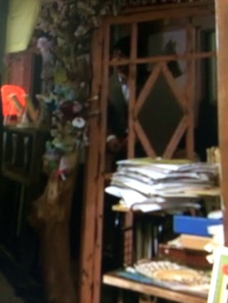 フジ『ようこそ、我が家へ』月９