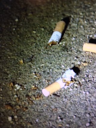 フジ『ようこそ、我が家へ』月９