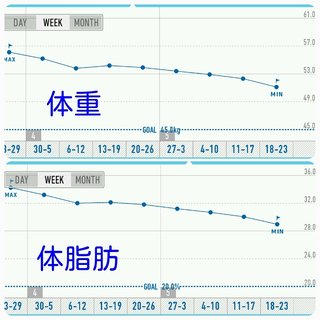 3/23start  157㎝57.0kg34.8%→目標47kg20%  