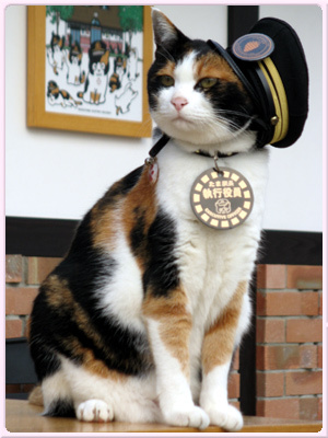 三毛猫「たま駅長」死ぬ　