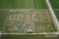 新潟～【総合】～