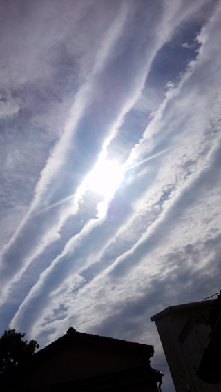 静岡県【総合】