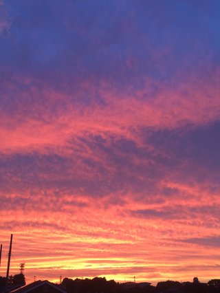 【地震前兆】があったら報告するﾄﾋﾟ