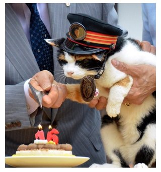 三毛猫「たま駅長」死ぬ　