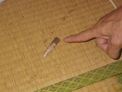 民家に銃弾飛び込む=陸自演習場から? けがなし―滋賀