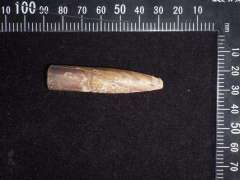 民家に銃弾飛び込む=陸自演習場から? けがなし―滋賀