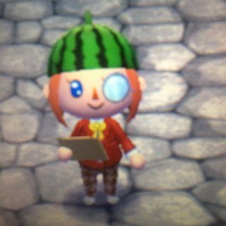 【どうぶつの森】ハッピーホームデザイナー【7/30発売】