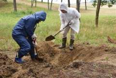 鳥取砂丘に犬の死骸　穴掘って遺棄か「国立公園に埋めるとは」