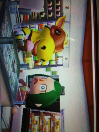 【どうぶつの森】ハッピーホームデザイナー【7/30発売】