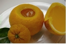 お土産に美味しいゼリーのおすすめ