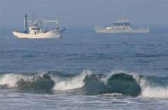 茨城の海岸にサメ２匹、７海水浴場を遊泳禁止