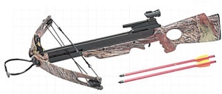 「ボーガンで撃たれた」新聞配達の男性襲われる　愛知