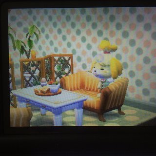 【どうぶつの森】ハッピーホームデザイナー【7/30発売】