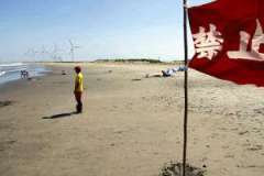 茨城の海岸にサメ２匹、７海水浴場を遊泳禁止