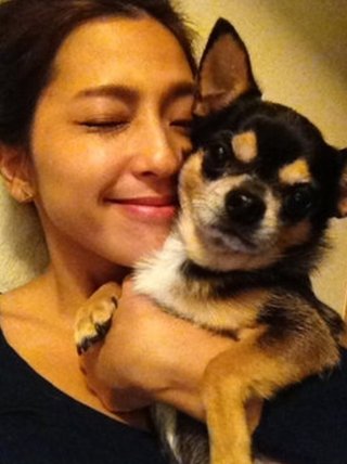 中村アンが犬を飼う理由に批判殺到してる 