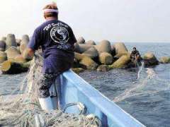 茨城の海岸にサメ２匹、７海水浴場を遊泳禁止