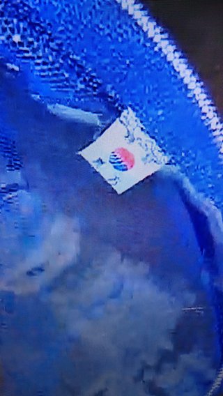 ザ!鉄腕!ＤＡＳＨ!!&#x{11:F9D8};