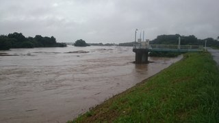 【便乗】茨城県【総合】