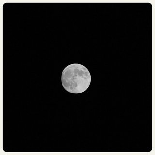 今日はお月見だけど