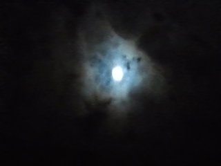 ２８日はスーパームーン　中秋の名月翌日、全国晴れ予報