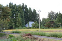 未成年女性か、白骨遺体見つかる　宮城県栗原市　県警、死体遺棄事件で捜査