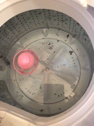 シャボン玉の洗濯槽クリーナーではなく手間なしブライトでお安く掃除実践中