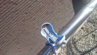 気持ち悪いので注意‼  この幼虫何の虫か分かりますか？