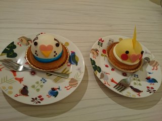 鳥好きさん、いませんか？