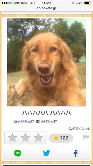 うちの犬が笑わないんですが…まだ心を閉ざしてるんでしょうか？