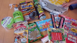 ねずみ駆除したことある方教えて下さい