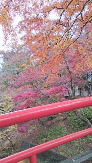 群馬県【総合】