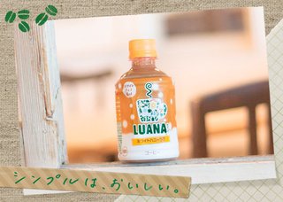 紅茶花伝ホット