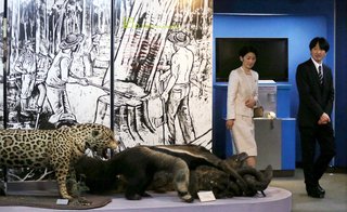 【皇室】秋篠宮ご夫妻ブラジル訪問か　大使館では未確認・日程など正式発表は未定