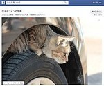 日産自動車が"猫バンバン"を呼びかけ「乗車前に確認を」、エンジンルームに猫が入り込む季節