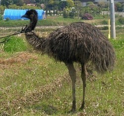 群馬県【総合】