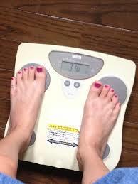 クルーズブログ 