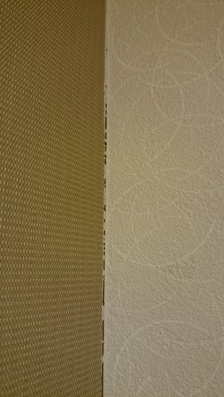 壁の隙間？写あり