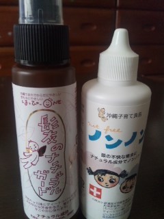 シラミがいました